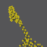 Campagne Amnesty International