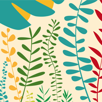 Affiche Livre de la Jungle